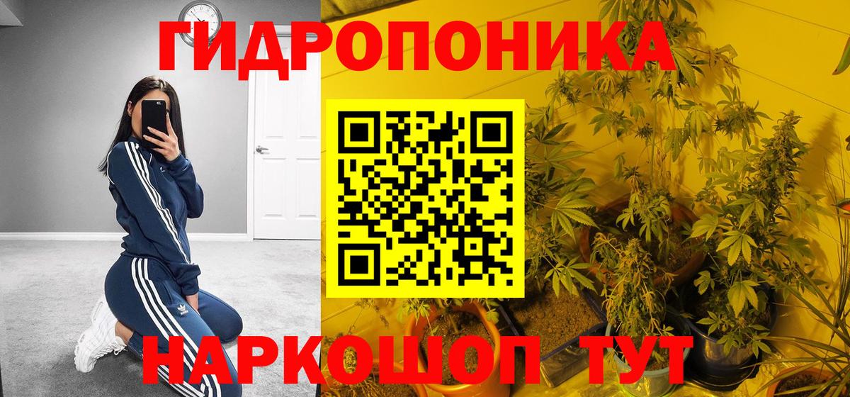Бошки марихуана тримм  Конопля конопля  Вход с VPN  Реж  Бошки Шишки тримм 
